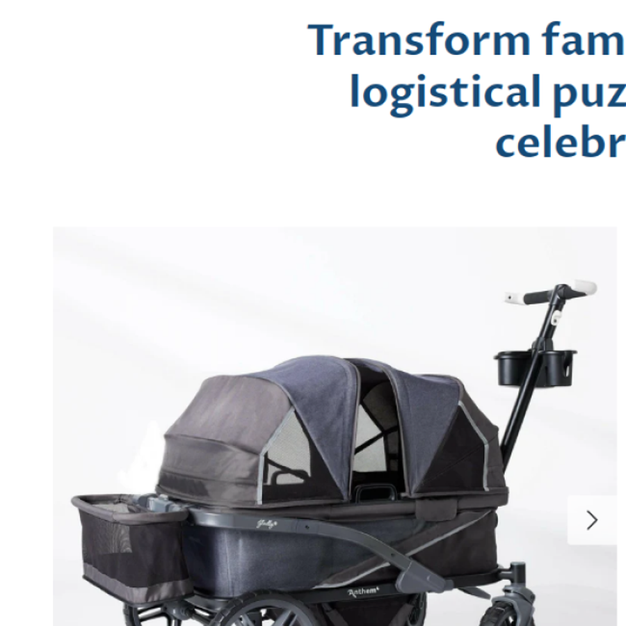 Anthem4 Deluxe 4-Seater All-Terrain Wagon